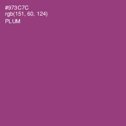 #973C7C - Plum Color Image