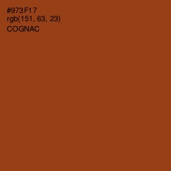#973F17 - Cognac Color Image