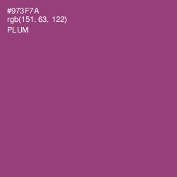 #973F7A - Plum Color Image