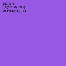 #9759E1 - Medium Purple Color Image