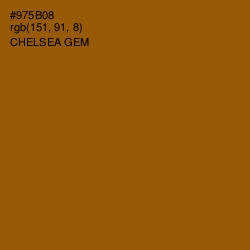 #975B08 - Chelsea Gem Color Image