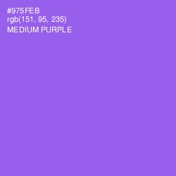 #975FEB - Medium Purple Color Image