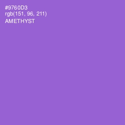 #9760D3 - Amethyst Color Image