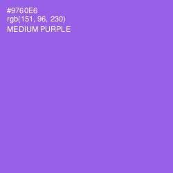 #9760E6 - Medium Purple Color Image