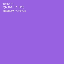 #9761E1 - Medium Purple Color Image