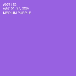 #9761E2 - Medium Purple Color Image