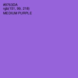 #9763DA - Medium Purple Color Image