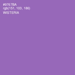 #9767BA - Wisteria Color Image