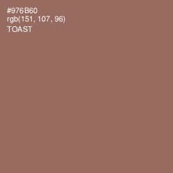 #976B60 - Toast Color Image