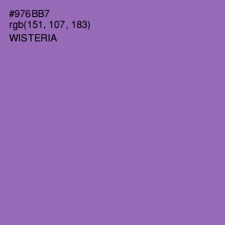 #976BB7 - Wisteria Color Image