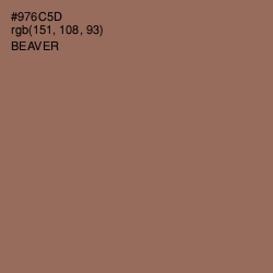 #976C5D - Beaver Color Image