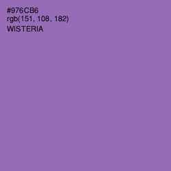 #976CB6 - Wisteria Color Image