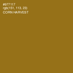 #977117 - Corn Harvest Color Image