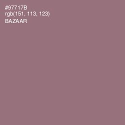 #97717B - Bazaar Color Image