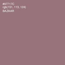 #97717C - Bazaar Color Image