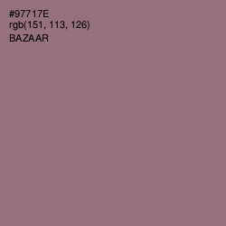 #97717E - Bazaar Color Image