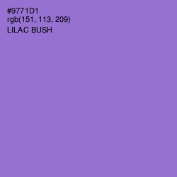 #9771D1 - Lilac Bush Color Image
