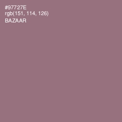 #97727E - Bazaar Color Image