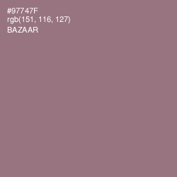 #97747F - Bazaar Color Image