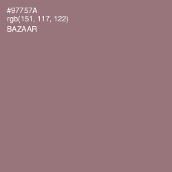 #97757A - Bazaar Color Image