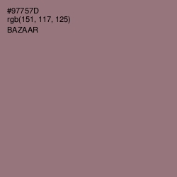 #97757D - Bazaar Color Image