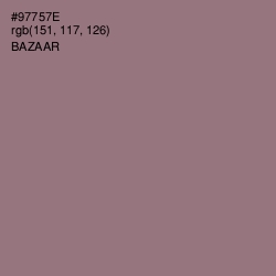 #97757E - Bazaar Color Image