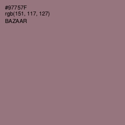 #97757F - Bazaar Color Image