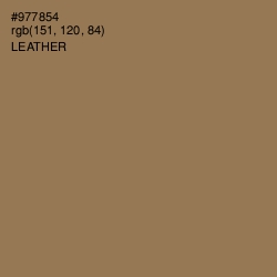 #977854 - Leather Color Image