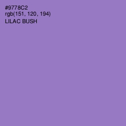 #9778C2 - Lilac Bush Color Image