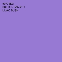 #9778D3 - Lilac Bush Color Image