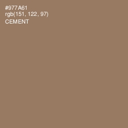 #977A61 - Cement Color Image