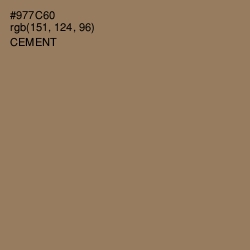 #977C60 - Cement Color Image