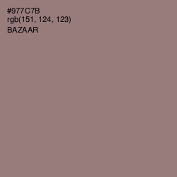 #977C7B - Bazaar Color Image