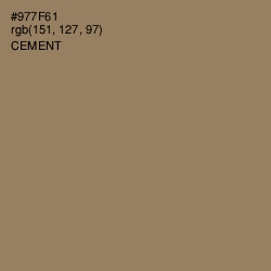 #977F61 - Cement Color Image