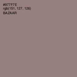 #977F7E - Bazaar Color Image
