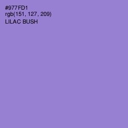 #977FD1 - Lilac Bush Color Image