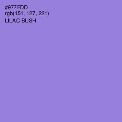 #977FDD - Lilac Bush Color Image