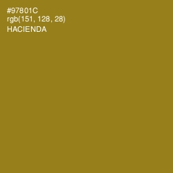 #97801C - Hacienda Color Image