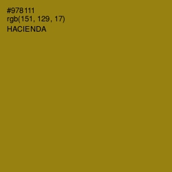 #978111 - Hacienda Color Image