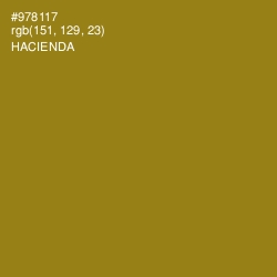 #978117 - Hacienda Color Image