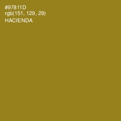 #97811D - Hacienda Color Image