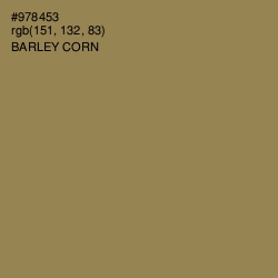 #978453 - Barley Corn Color Image