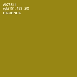 #978514 - Hacienda Color Image