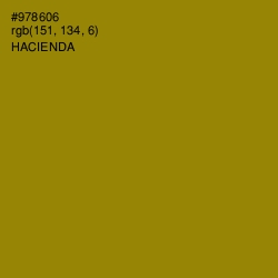 #978606 - Hacienda Color Image