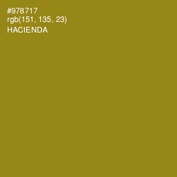 #978717 - Hacienda Color Image