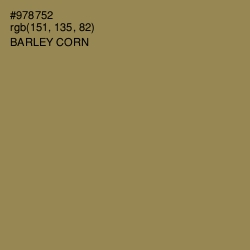 #978752 - Barley Corn Color Image