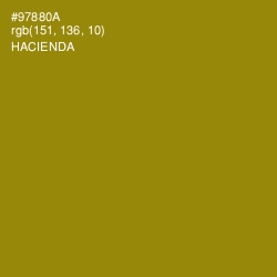 #97880A - Hacienda Color Image