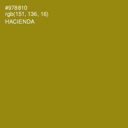 #978810 - Hacienda Color Image