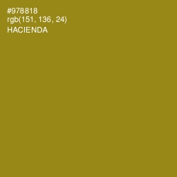 #978818 - Hacienda Color Image