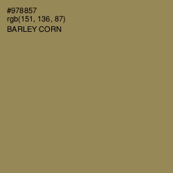 #978857 - Barley Corn Color Image